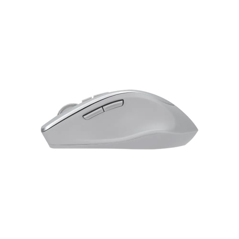 ASUS WT425 Silver Wireless Mouse