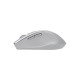 ASUS WT425 Silver Wireless Mouse