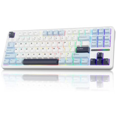 AULA F87 White Blue