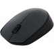 LOGITECH Wireless Mouse M170 - GREY
